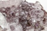 Dark Purple Cactus Quartz (Amethyst) Crystal - South Africa #206257-2